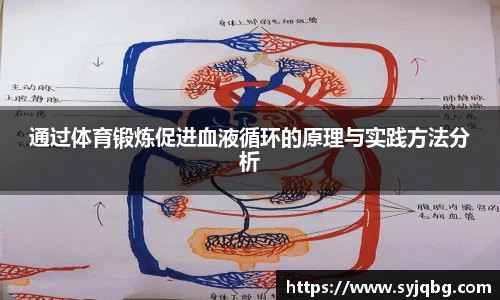 通过体育锻炼促进血液循环的原理与实践方法分析