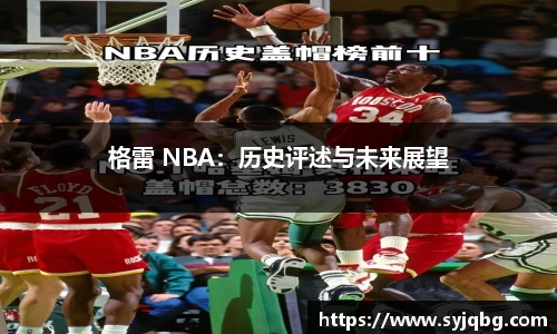 格雷 NBA：历史评述与未来展望